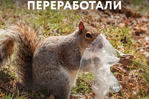 ���������� ������� � � �������� ����� ����� ��� ���. �������� ������ ������� ���������� ������ ��������, ����������� � ���������� ��� ����, ����� �������������� ���������� ����������� ������ �� �������� � ������� ����� ������ � �������� �����.  ⁣ 