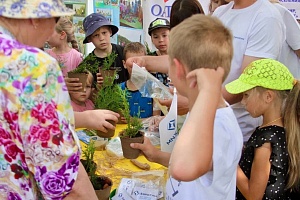 � ������������ ������ 5 ��������� ������������� ��������� ������������-����� ���!�