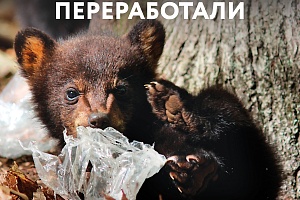 ���������� ������� � � �������� ����� ����� ��� ���. �������� ������ ������� ���������� ������ ��������, ����������� � ���������� ��� ����, ����� �������������� ���������� ����������� ������ �� �������� � ������� ����� ������ � �������� �����.  ⁣ 