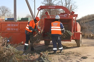 До 25 января 2026 года краснодарцы могут сдать новогодние ёлки на переработку!