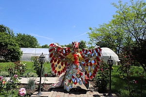 � ���������� ������� ����� �������� �������� �������� �������� ��������