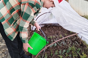 ��������� � ���������  ��������� �� "������� ������" � ������������