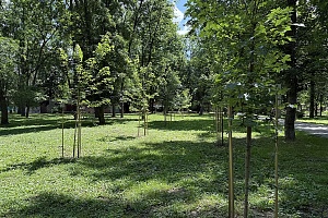 ������������� ����� ������ ������� ����������