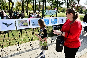 ��������-��-������ ������������� ��������� "�������� ������ - ������� �������� ��� ������� ���������"