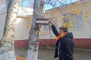 ����������� ����������� ������ �������� ������ �������� ����