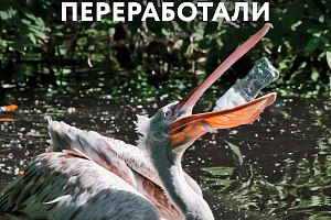 ���������� ������� � � �������� ����� ����� ��� ���. �������� ������ ������� ���������� ������ ��������, ����������� � ���������� ��� ����, ����� �������������� ���������� ����������� ������ �� �������� � ������� ����� ������ � �������� �����.  ⁣ 