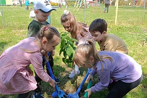 ������������� ���� ������