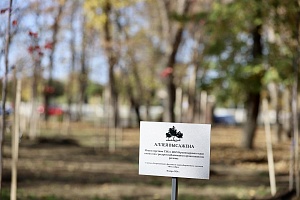 � ����� �������� � ������ ����� 30-����� ������ ��������� ����� �� ������� �������� ������������� ������