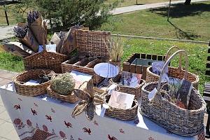 ������������� ��������� "����� ����, � �� �������!"