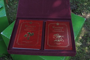 � ������� ������ ������������" ������������� ��������� - ���� ������ ���!"