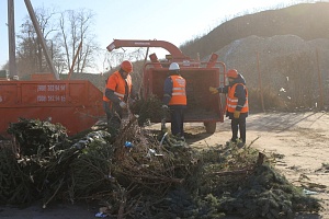 До 25 января 2026 года краснодарцы могут сдать новогодние ёлки на переработку!