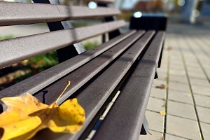 � ������ ����� ������� �� ����� � ������������� ���� ������� 16 ���� �������� 